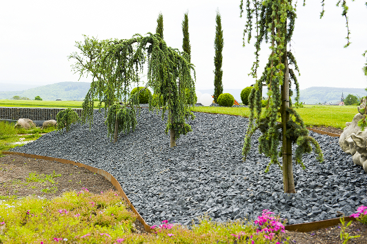 Teichwelt
